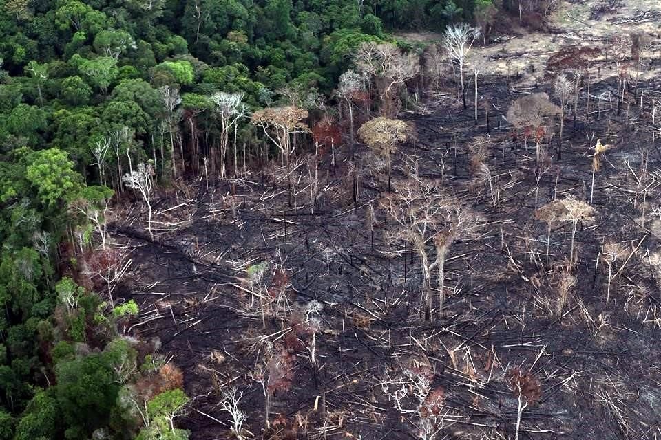 Vista de la deforestación en la Amazonía brasileña en 2019.