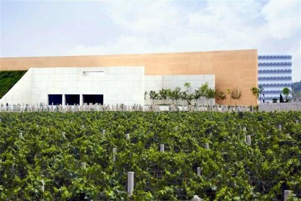 Möet Henessy's Chandon China es una de las bodegas presentes en Ningxia.