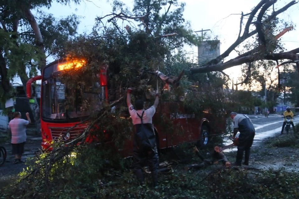 Un árbol cayó sobre esta unidad de la Ruta 380; se reportan dos lesionados.