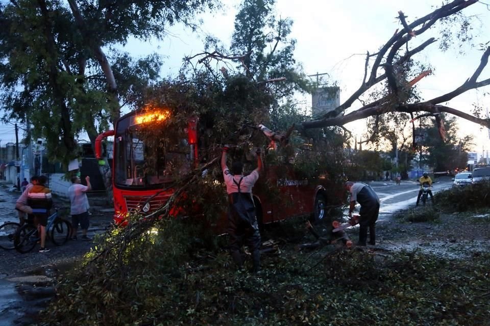 Un árbol cayó sobre esta unidad de la Ruta 380 en Periférico Sur, entre López Mateos y Mariano Otero, dejando dos lesionados.