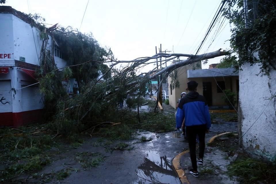 También en el Anillo vial, a la altura de la Colonia Pirámides cayeron varios árboles impactando viviendas y tapando vialidades.