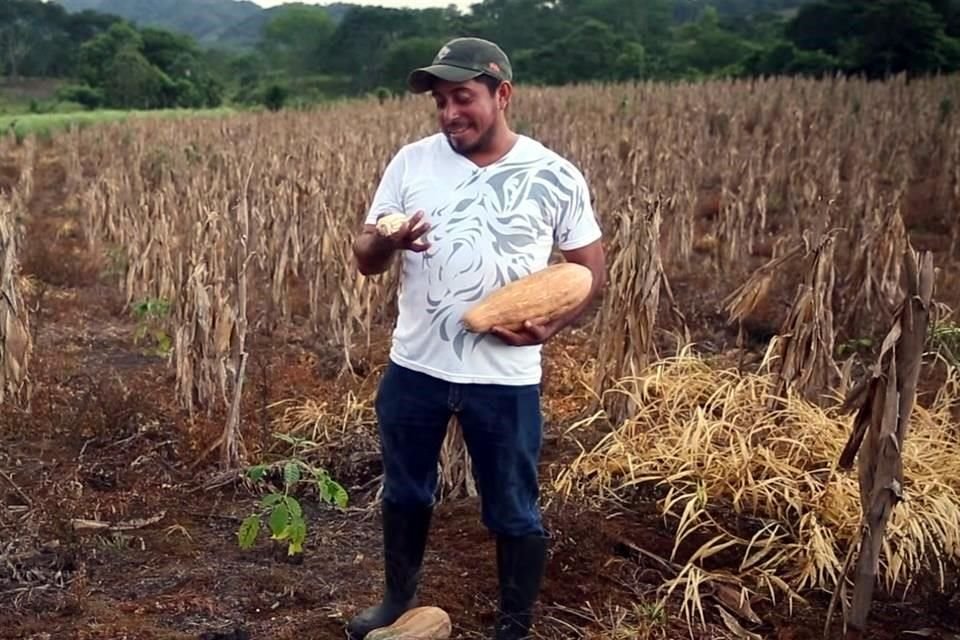 El Presidente ha presumido en sus redes los avances de Sembrando Vida.