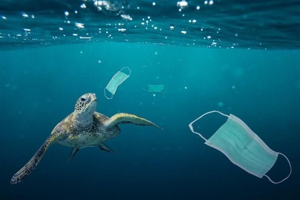 Cerca del 75 por ciento del plástico generado por el Covid-19 terminará en mares y vertederos, advierte la ONU.