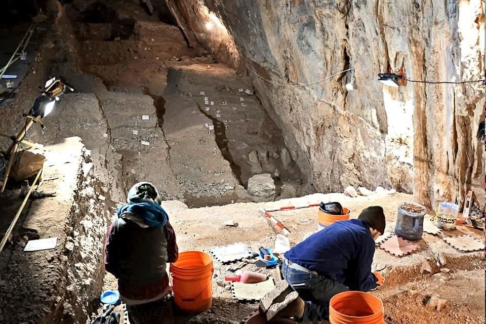 El análisis de ADN de los restos de plantas y animales en el sedimento de la cueva permitió datar las herramientas halladas en su interior y la ocupación humana del sitio.