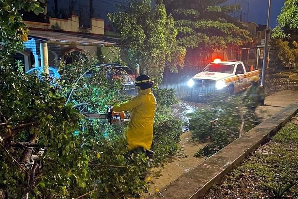 Diversas vialidades fueron cerradas por la caída de árboles.