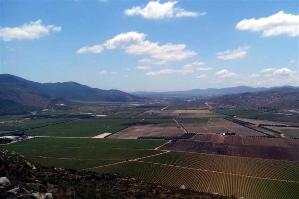 El 4 de diciembre de 2019, la mayoría de los derechos agrarios sobre alrededor de mil 300 hectáreas fueron cedidas por Cota Osuna a los cinco hombres cercanos a Sosa Castelán.