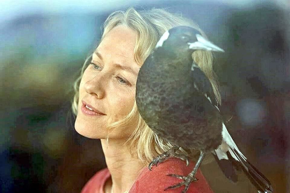 Naomi Watts dijo estar profundamente conmovida por la historia que contará en la película 'Penguin Bloom'.