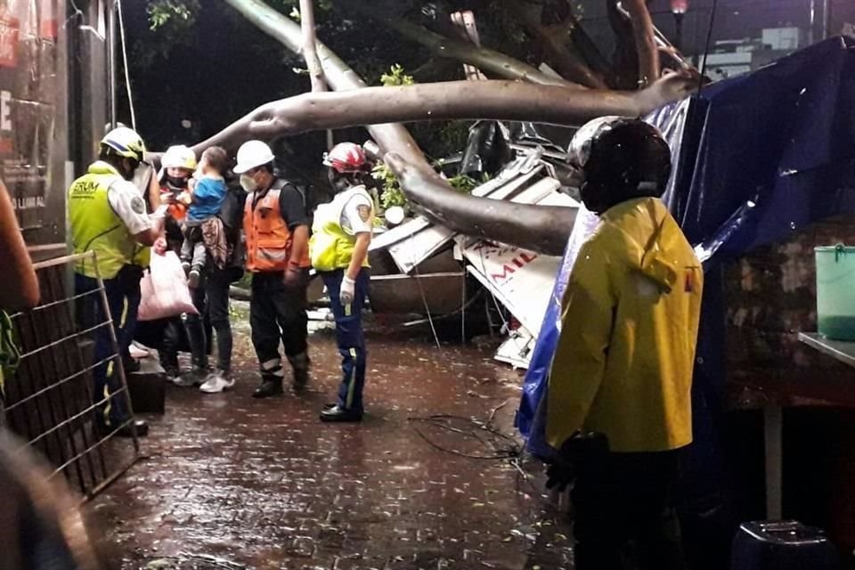 Un hombre quedó atrapado luego de que un árbol cayera sobre él.