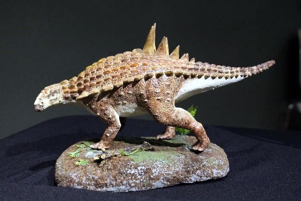 Un equipo de paleontólogos del Museo del Desierto de Saltillo descubrió una nueva especie de dinosaurio.