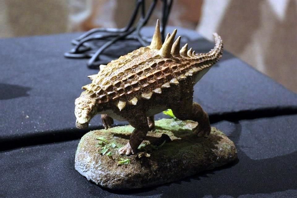 Paleontólogos del Museo del Desierto presentan un nuevo dinosaurio acorazado, cuyo esqueleto fue hallado incompleto en Ocampo, Coahuila.