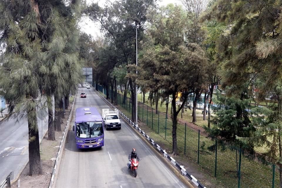 Para sumar un tercer carril central al Circuito Interior, serán removidos los árboles del camellón lateral como parte de la obra vial.