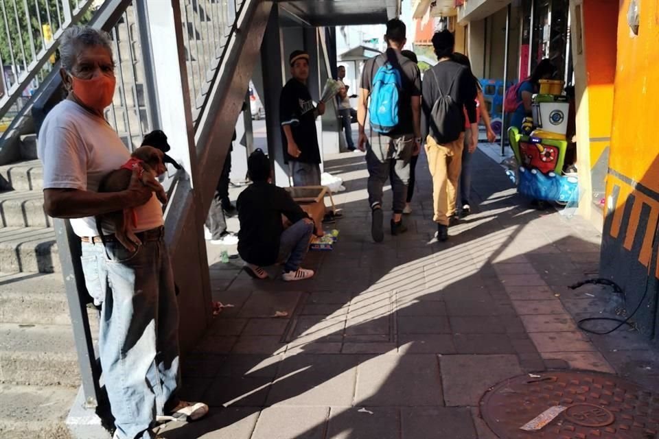 Ofrecen hasta mascotas a lo largo de la Calzada.