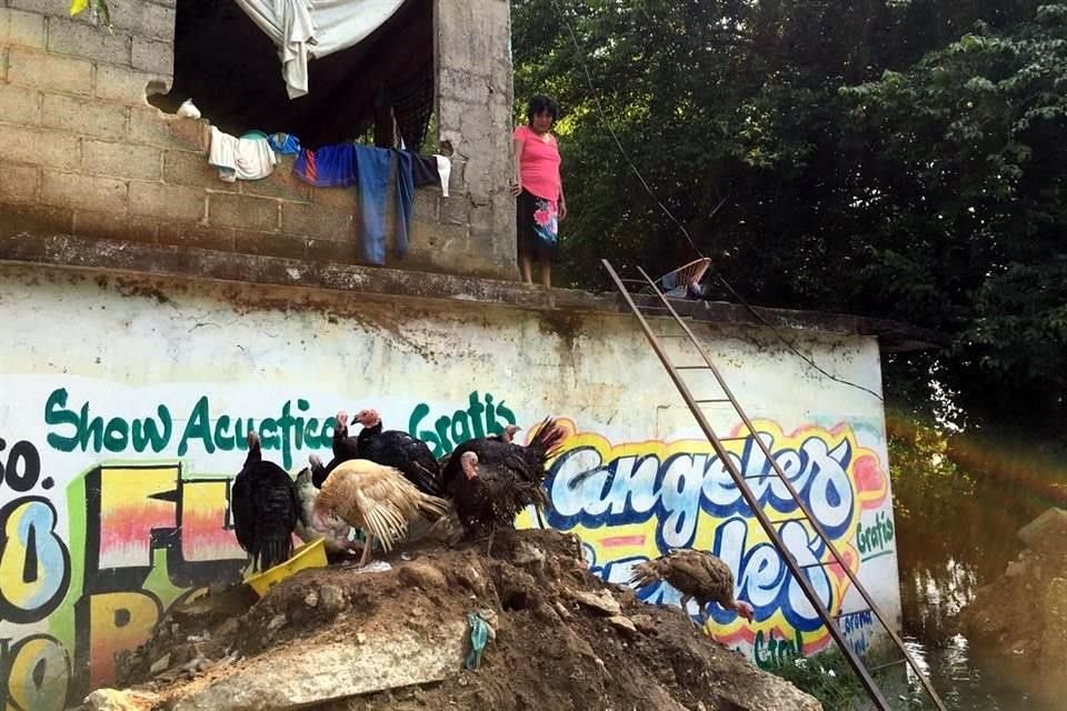 Pobladores temen por sus animales, los cuales han resguardado en lugares altos, ya que son su única fuente de ingresos.