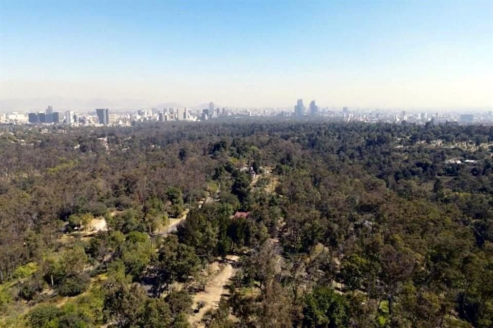 Una convocatoria para presentar proyectos destinados a crear el Jardín y Espacio Escénico del Bosque de #Chapultepec, fue cancelada por la Sedema.