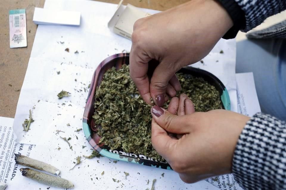 El Senado avaló esta tarde el dictamen que expide la Ley para la Regulación del Cannabis.