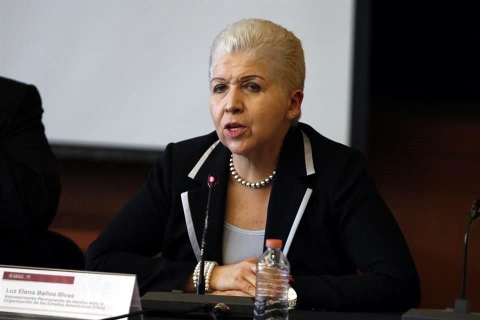 Luz Elena Baños, representante de México ante la OEA.