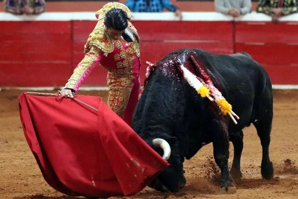 El 'Calita' con el toro de Santo Tomás.