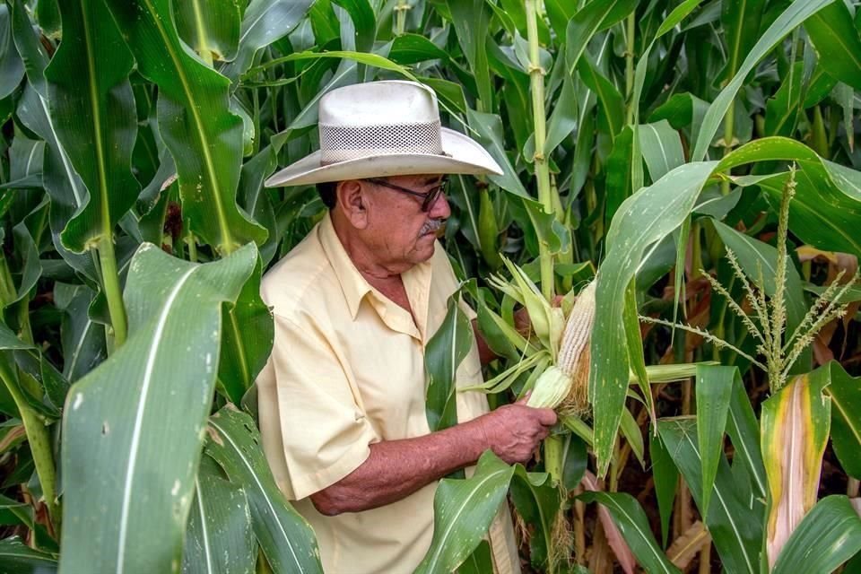 El nuevo fondo de créditos busca atender a pequeños productores. 