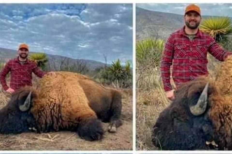 Caza del bisonte en Coahuila.