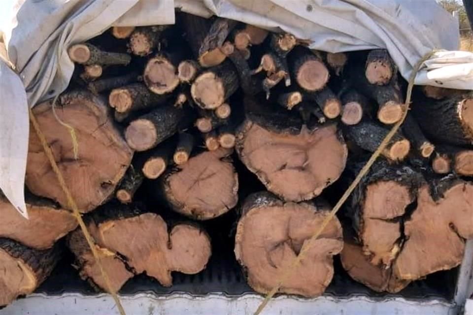 Proteak es uno de los mayores productores de madera teca en el mundo.