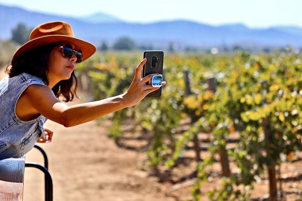 Valle de Guadalupe