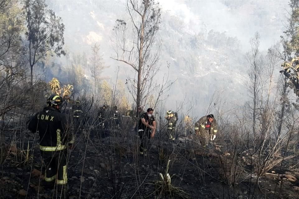 El incendio se produce dentro del área verde de la Sierra de Guadalupe, en la colindancia con la Colonia Malacates.