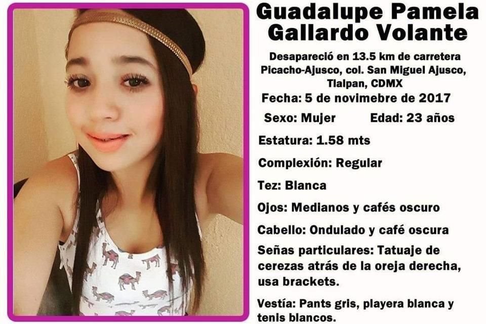 Guadalupe Pamela Gallardo desapareció, el 4 de noviembre de 2017, después de que acudió a un festival de música electrónica, en el Ajusco, en Tlalpan.