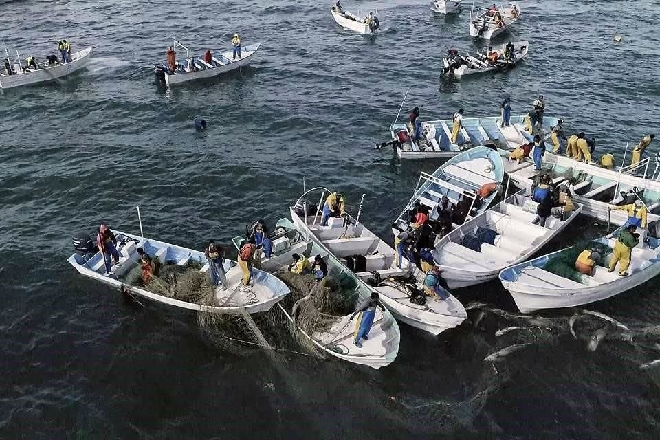 El convenio busca combatir la pesca ilícita de totoaba.