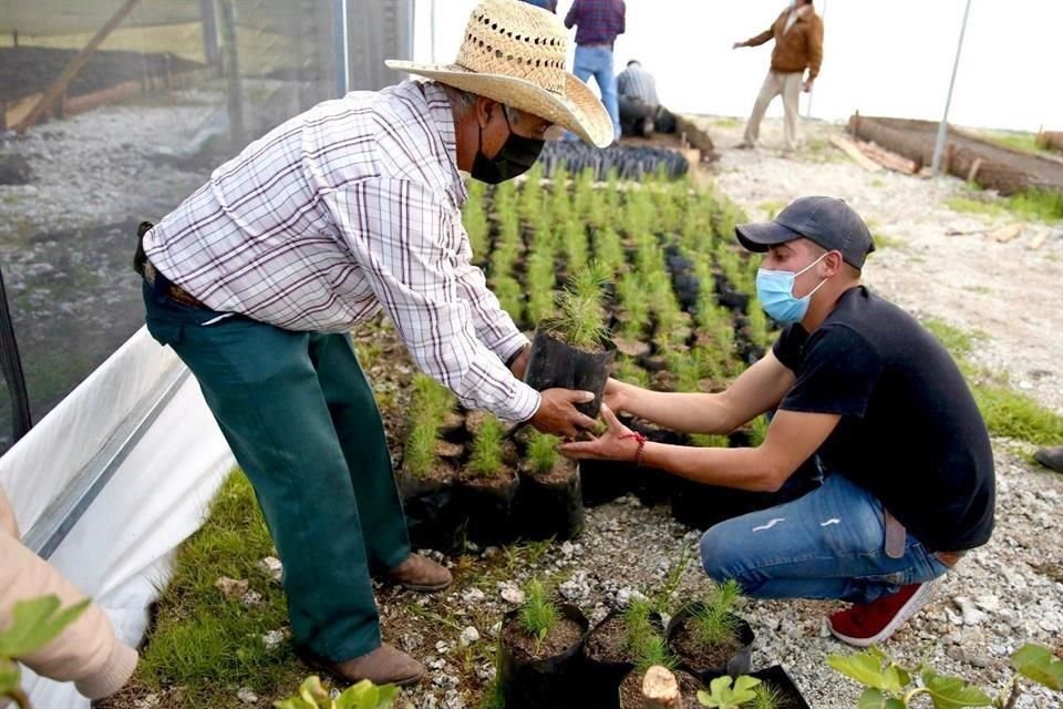 Prácticamente la mitad de los trabajadores del campo, 53.5%, registraba una edad mayor a 50 años, sin embargo.