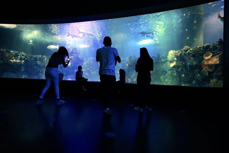 Con la segunda reapertura de los centros de entretenimiento se registró una mejor respuesta por parte de los consumidores.