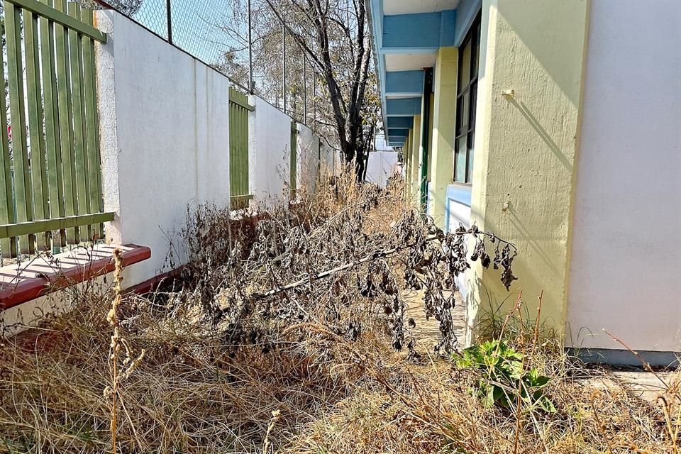 Tras un año cerradas por la pandemia, escuelas lucen deterioradas, pues gente bota basura y han sufrido robos en equipos de TV y cómputo.