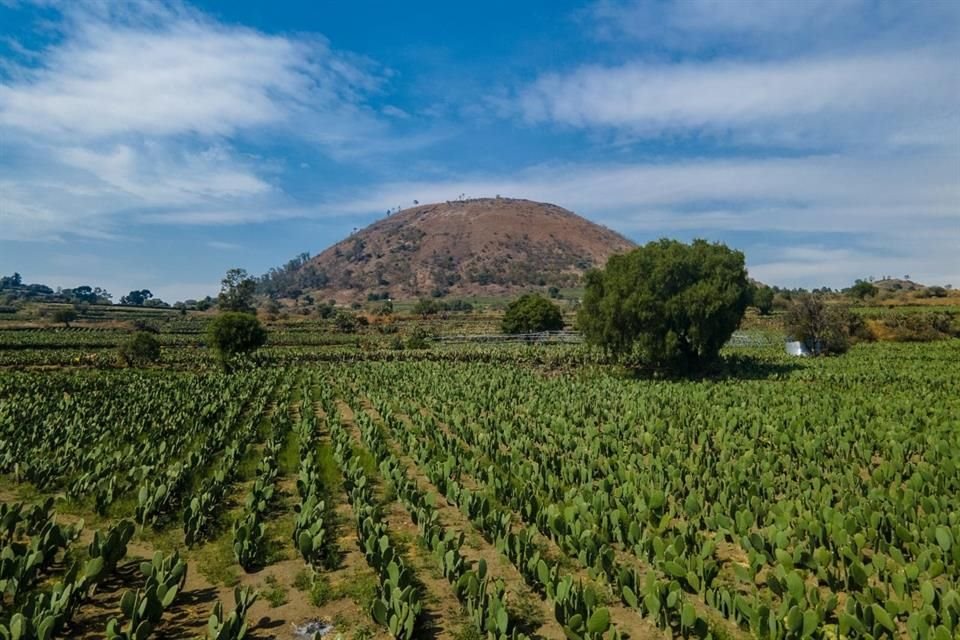 La ampliación del polígono de protección de Xochimilco como Patrimonio Mundial abonaría en la preservación de este sistema frente a las amenazas que enfrenta, como los asentamientos irregulares que se extienden a la montaña.