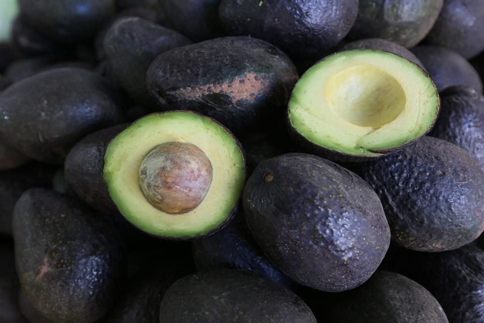 Tras la suspensión de la supervisión, se detuvieron las exportaciones de aguacate y mango michoacano.