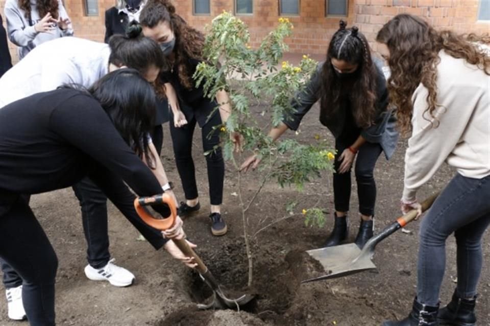 Integrantes de COPSA plantaron un árbol floral en el Jardín de la Fuente de la Ibero CDMX en memoria del Rector Saúl Cuautle Quechol.