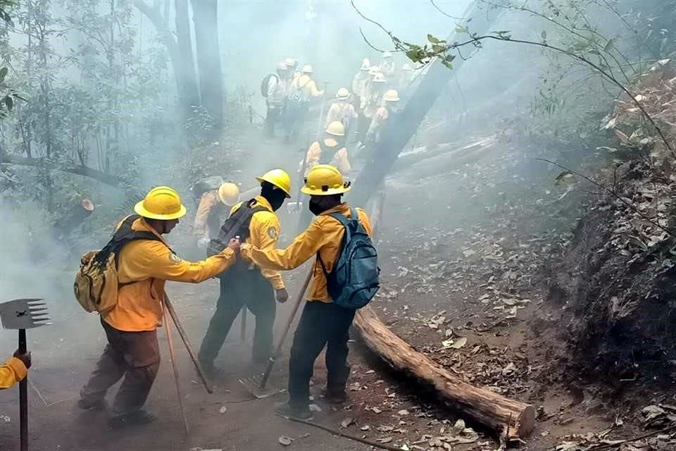 Decenas de trabajadores combatieron el incendio en Tepoztlán, Morales.