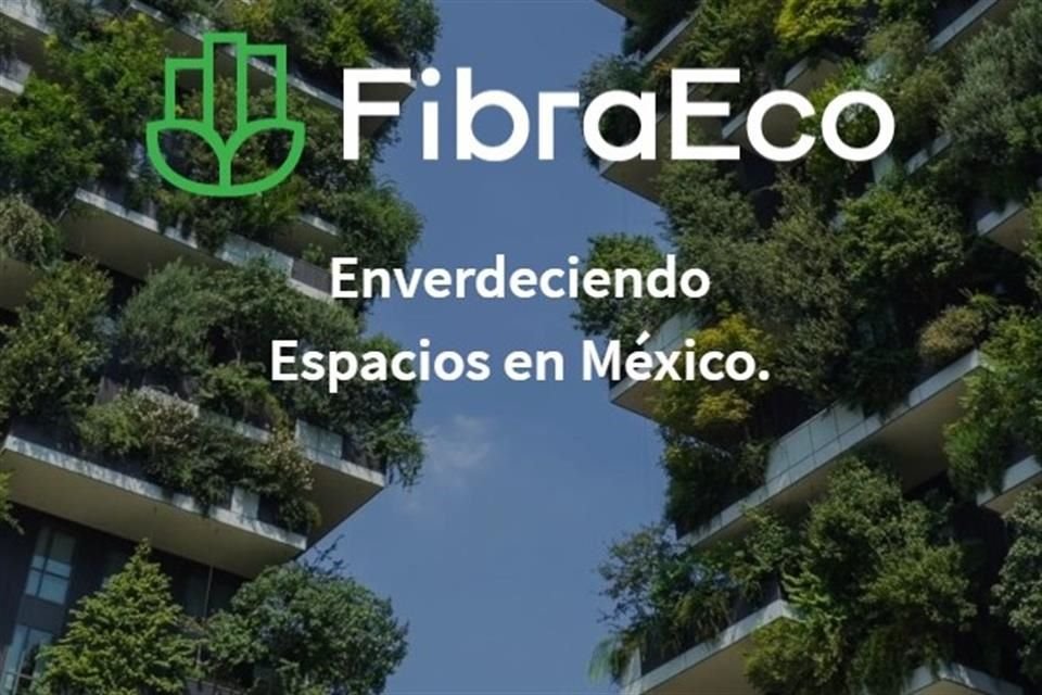 Fibra Eco busca crear una oportunidad real para que los inversionistas tengan un impacto en el medio ambiente.