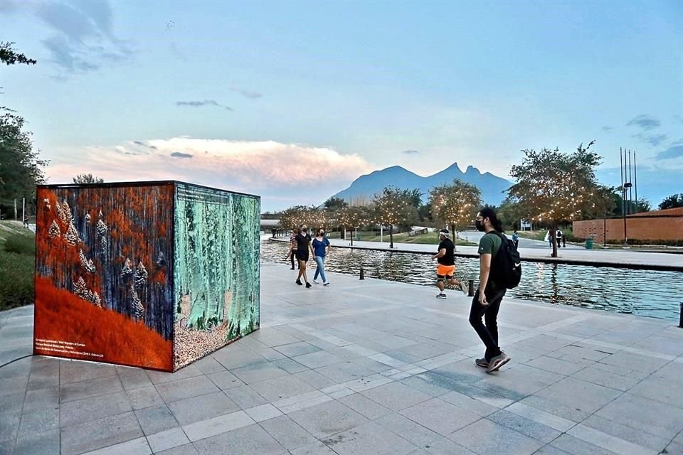 En un tramo del Paseo Santa Lucía, a la altura del Lago de las Olas, le expo 'Áreas clave para la biodiversidad' estará hasta el 7 de noviembre.