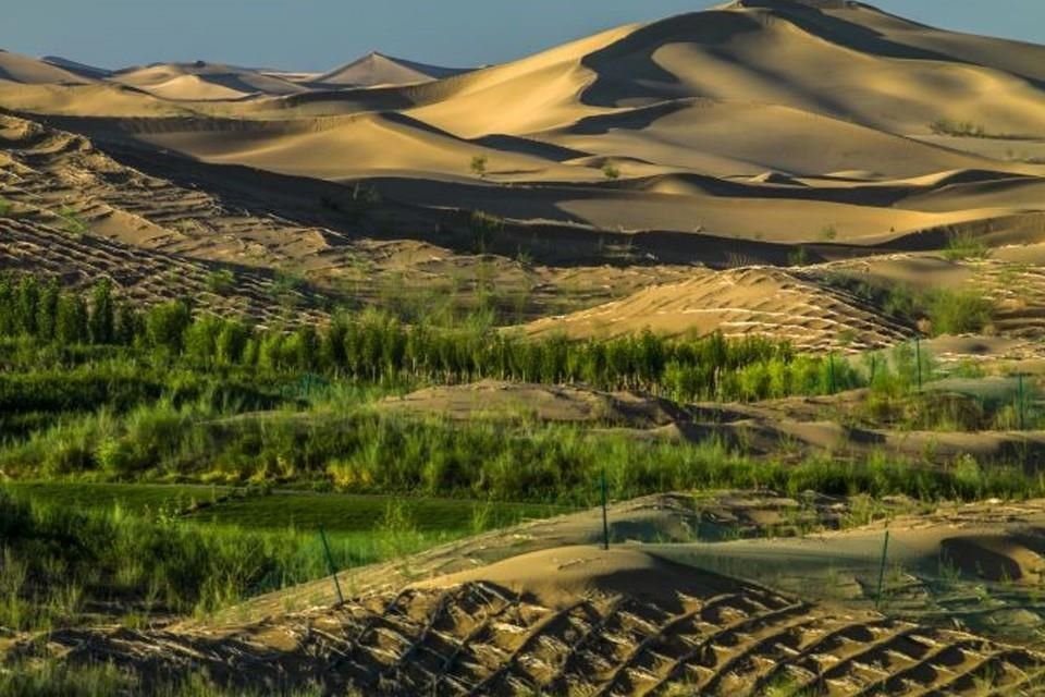 El desierto reforestado de Kubuqi.