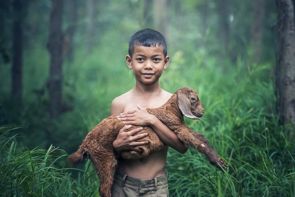 La ONU reconoció que es un derecho humano contar con un medio ambiente seguro, limpio, sano y sustentable.