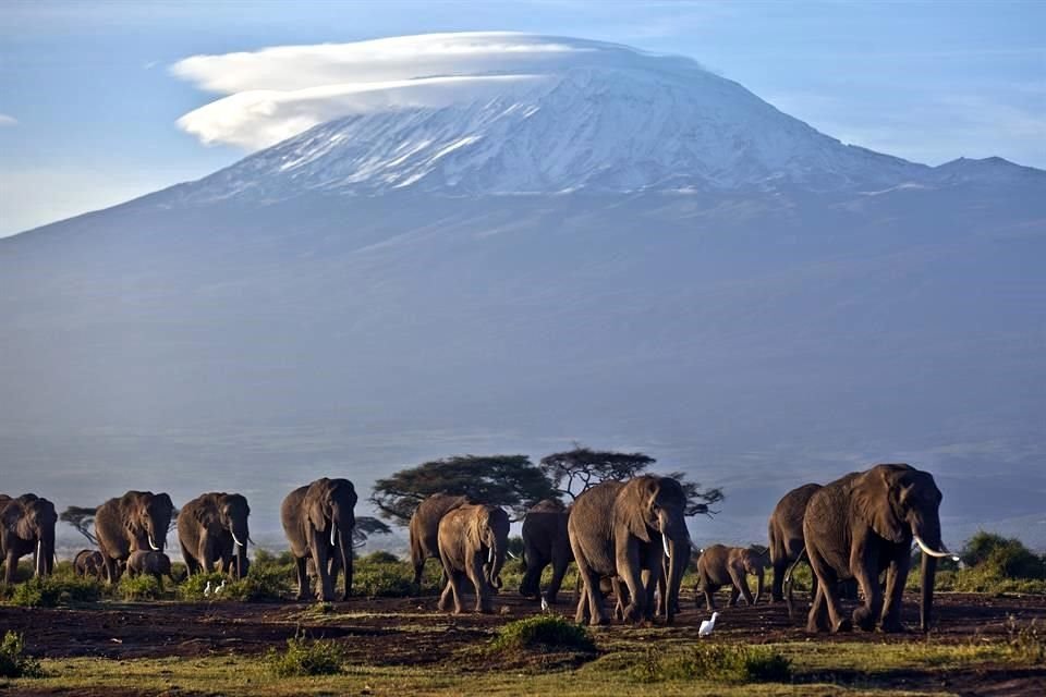 Según el reporte de la ONU, los raros glaciares de África desaparecerán en las próximas décadas.