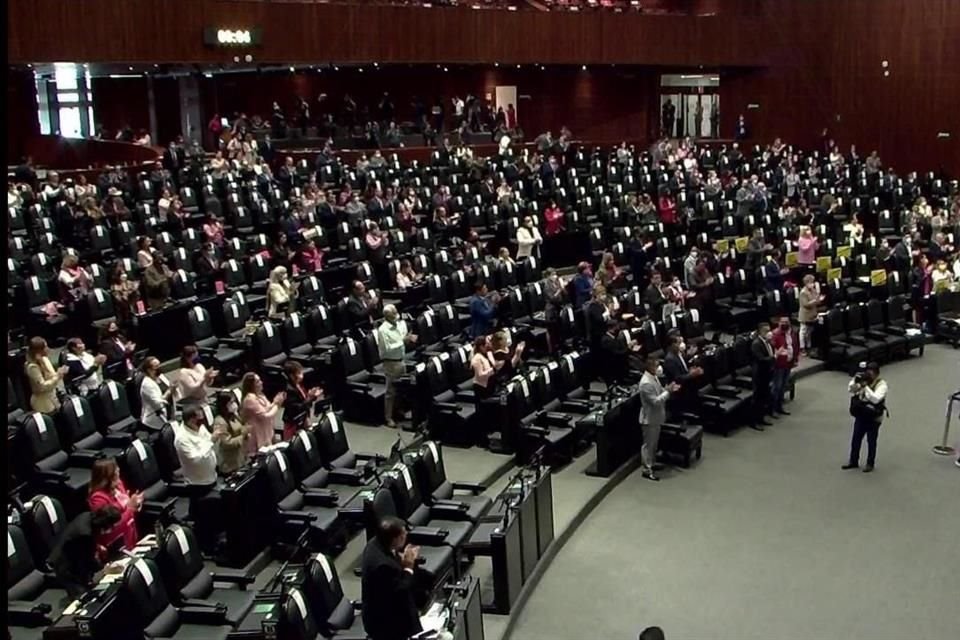 Diputados rindieron un minuto de aplausos en honor de Celeste Batel.