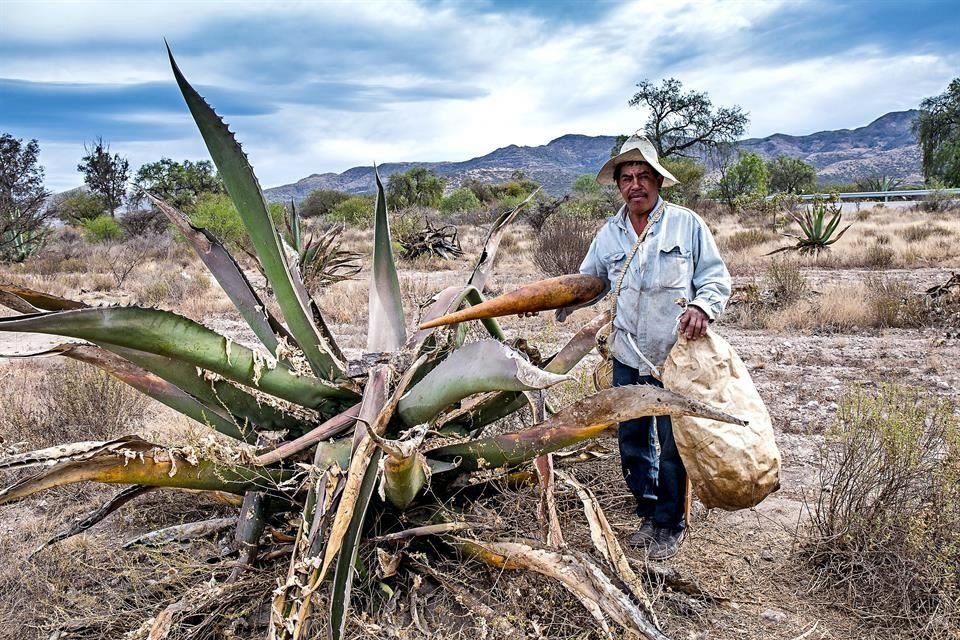 Hidalgo invita a disfrutar de un banquete digital en el Tianguis de Pueblos Mágicos que se realizará del 29 al 31 de octubre.