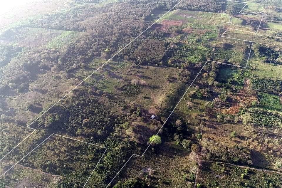 La gran plataforma de Aguada Fénix vista desde el norte.