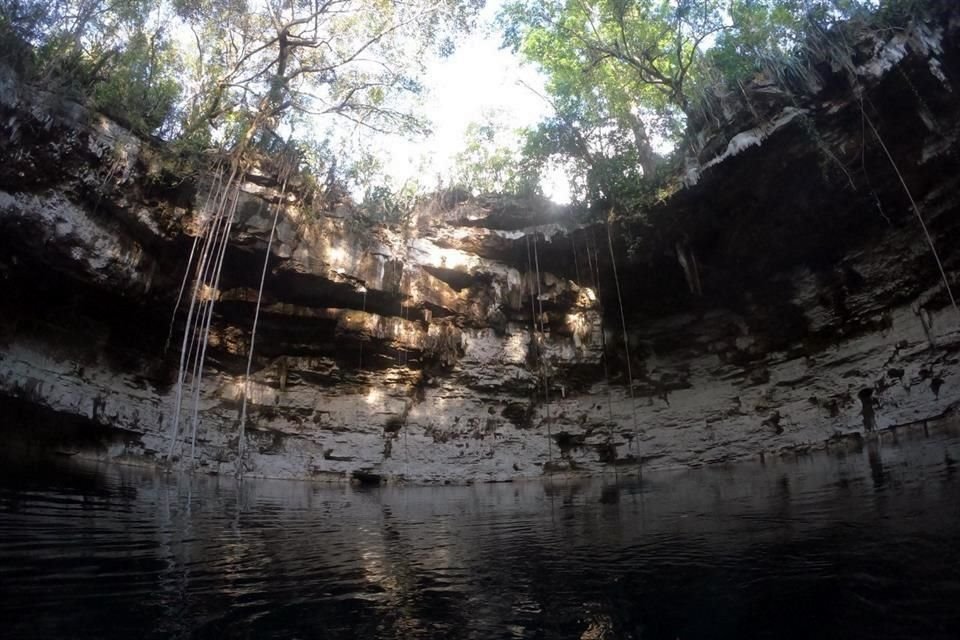 El cenote donde se realizó el hallazgo, se ubica en el sitio denominado San Andrés, en Yucatán.