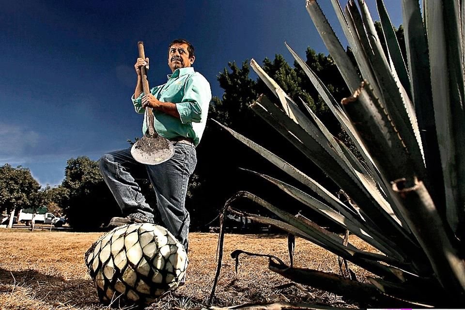 Escucha mariachi en Tequila, Jalisco y de paso puedes visitar el Museo Nacional del Tequila.