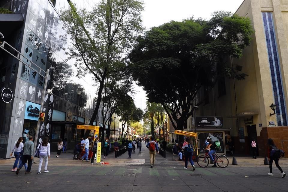 Administraciones y asociaciones han buscado cambiar identidad de Zona Rosa, despreciando la que se ha formado y buscando imitar al extranjero.