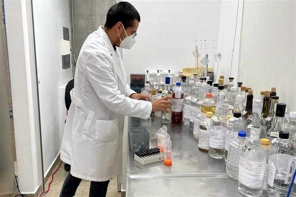 El Consejo Regulador del Tequila trabaja en construir la huella isotópica de este destilado, para detectar falsificación y adulteración.
