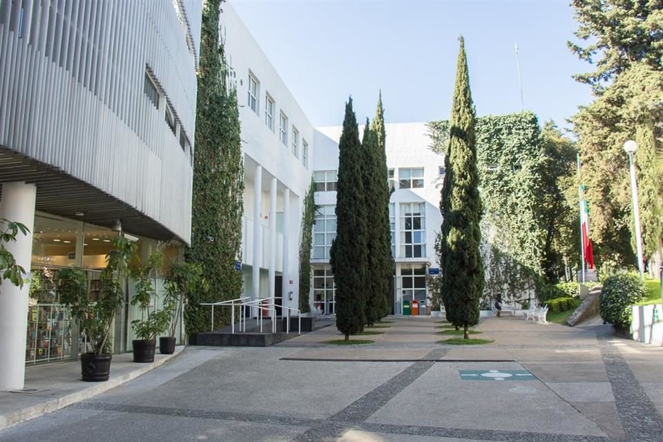 Alumnos y egresados del CIDE se pronuncian ante los últimas acciones de sus autoridades universitarias.