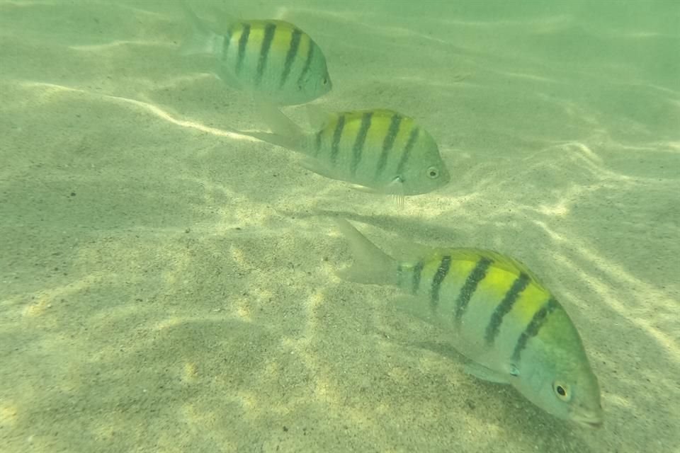 Foto tomada con GoPro Hero10 Black.