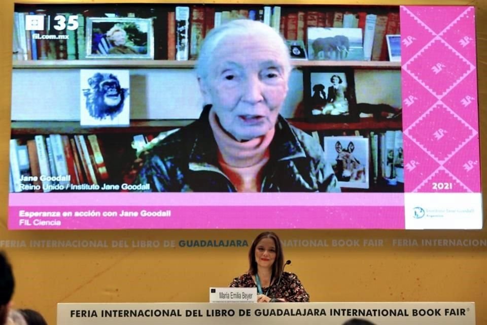 Jane Goodall hizo una visita virtual a la FIL para hablar de su libro más reciente, 'The Hope'.